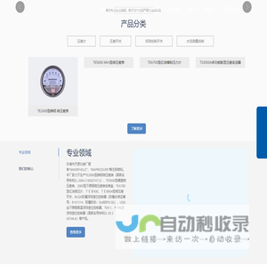 乐清天恩仪表厂